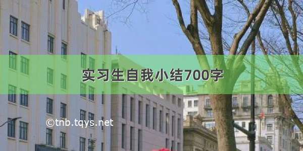 实习生自我小结700字