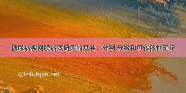 糖尿病视网膜病变研究的基准：分割 分级和可转移性笔记