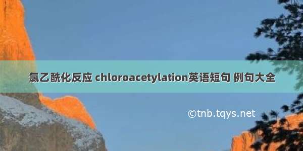 氯乙酰化反应 chloroacetylation英语短句 例句大全