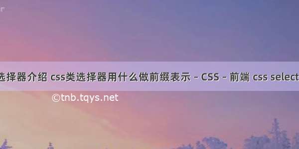 css选择器介绍 css类选择器用什么做前缀表示 – CSS – 前端 css select样式