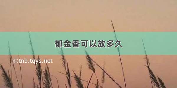 郁金香可以放多久