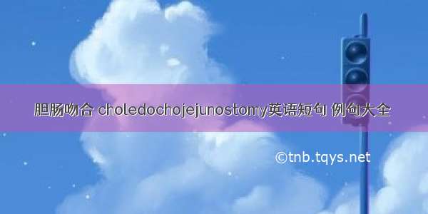 胆肠吻合 choledochojejunostomy英语短句 例句大全