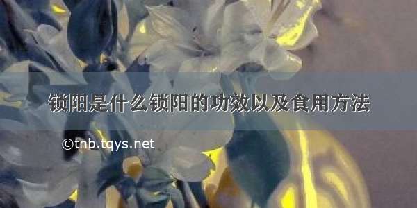 锁阳是什么锁阳的功效以及食用方法