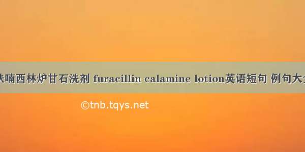 呋喃西林炉甘石洗剂 furacillin calamine lotion英语短句 例句大全