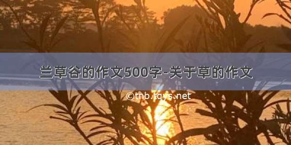 兰草谷的作文500字-关于草的作文