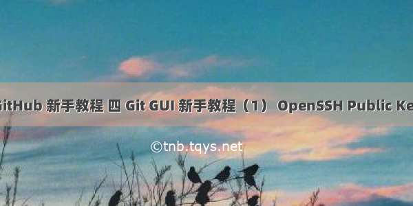 GitHub 新手教程 四 Git GUI 新手教程（1） OpenSSH Public Key