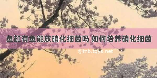 鱼缸有鱼能放硝化细菌吗 如何培养硝化细菌