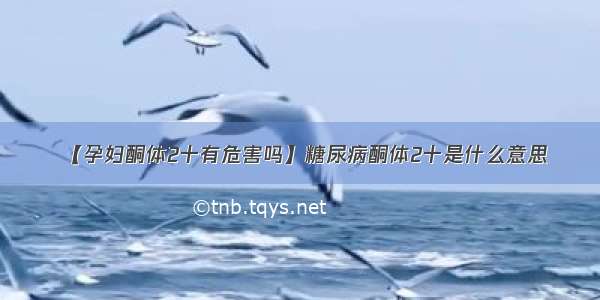 【孕妇酮体2十有危害吗】糖尿病酮体2十是什么意思