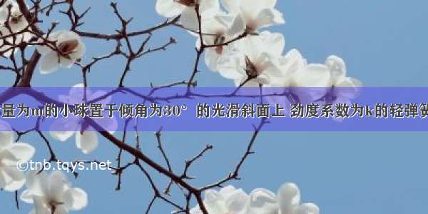 如图所示 质量为m的小球置于倾角为30°的光滑斜面上 劲度系数为k的轻弹簧一端系在小