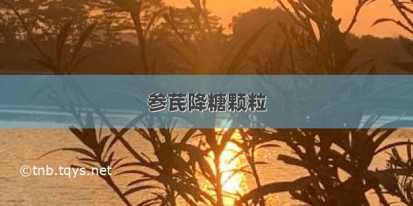 参芪降糖颗粒