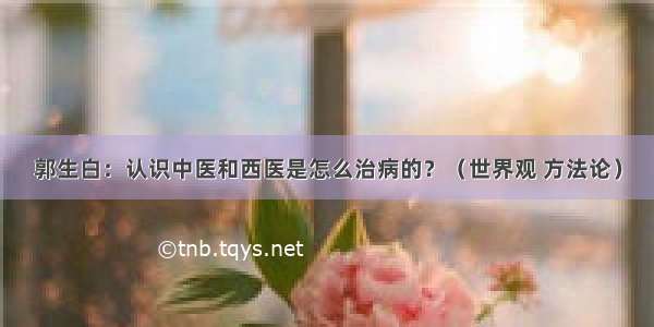 郭生白：认识中医和西医是怎么治病的？（世界观 方法论）