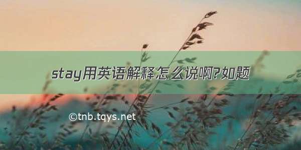 stay用英语解释怎么说啊?如题