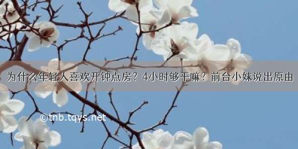 为什么年轻人喜欢开钟点房？4小时够干嘛？前台小妹说出原由