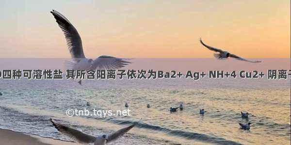 有A B C D四种可溶性盐 其所含阳离子依次为Ba2+ Ag+ NH+4 Cu2+ 阴离子可能是N