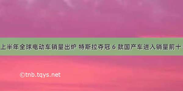 上半年全球电动车销量出炉 特斯拉夺冠 6 款国产车进入销量前十！