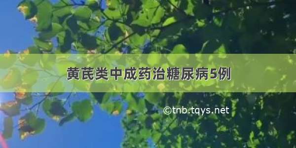 黄芪类中成药治糖尿病5例