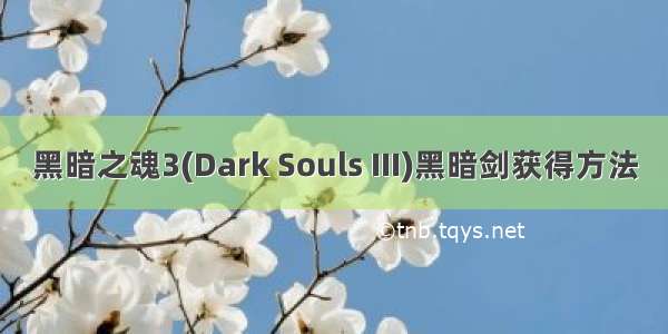 黑暗之魂3(Dark Souls III)黑暗剑获得方法