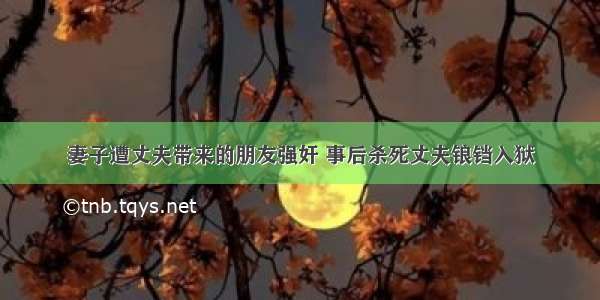 妻子遭丈夫带来的朋友强奸 事后杀死丈夫锒铛入狱