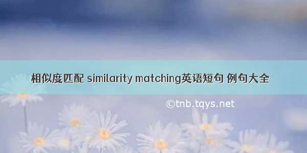 相似度匹配 similarity matching英语短句 例句大全