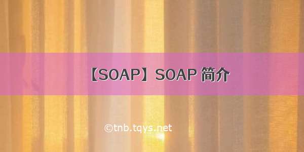 【SOAP】SOAP 简介