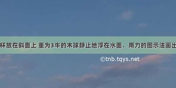 如图所示烧杯放在斜面上 重为3牛的木球静止地浮在水面．用力的图示法画出小球受到的