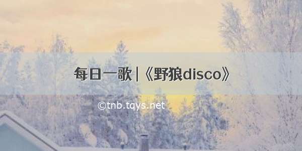 每日一歌 |《野狼disco》