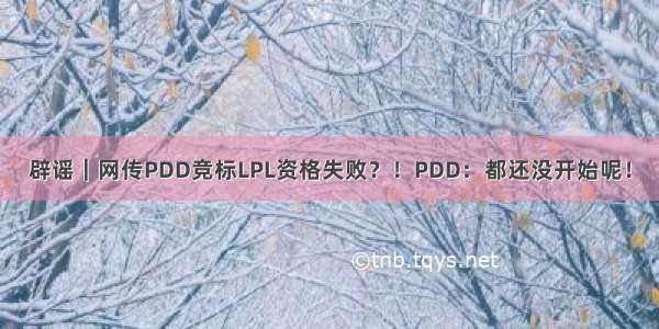 辟谣｜网传PDD竞标LPL资格失败？！PDD：都还没开始呢！