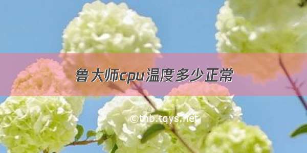 鲁大师cpu温度多少正常