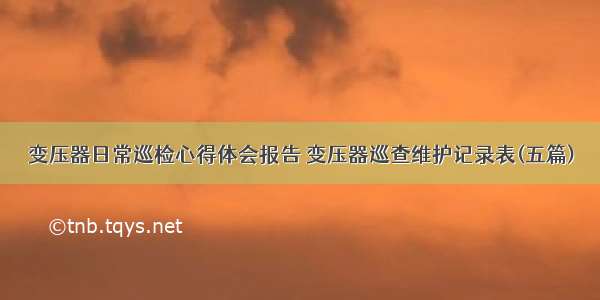 变压器日常巡检心得体会报告 变压器巡查维护记录表(五篇)