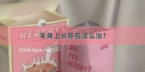 羊身上长脓包该么治？