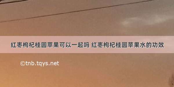 红枣枸杞桂圆苹果可以一起吗 红枣枸杞桂圆苹果水的功效