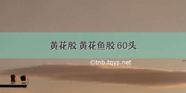 黄花胶 黄花鱼胶 60头