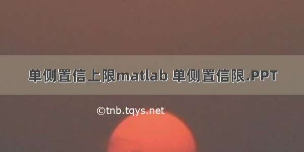 单侧置信上限matlab 单侧置信限.PPT