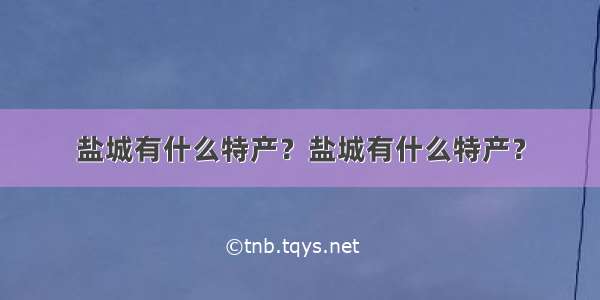 盐城有什么特产？盐城有什么特产？