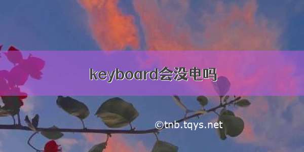 keyboard会没电吗