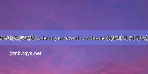 原发性输尿管癌 primary ureteral carcinoma英语短句 例句大全