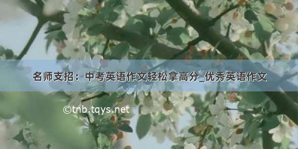 名师支招：中考英语作文轻松拿高分_优秀英语作文