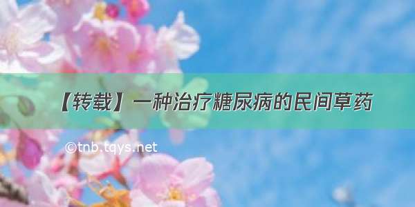 【转载】一种治疗糖尿病的民间草药