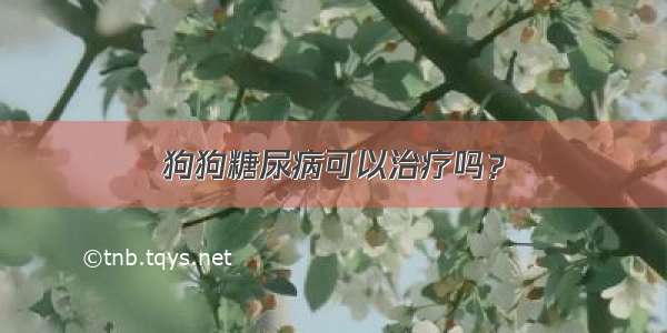 狗狗糖尿病可以治疗吗？