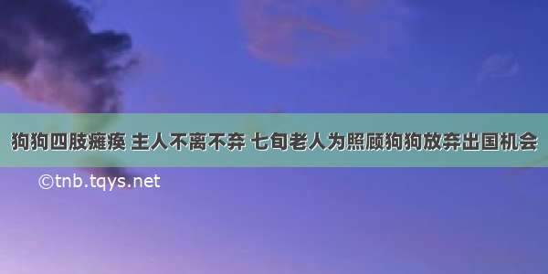 狗狗四肢瘫痪 主人不离不弃 七旬老人为照顾狗狗放弃出国机会