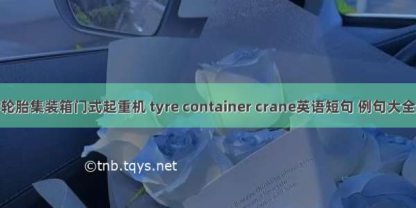 轮胎集装箱门式起重机 tyre container crane英语短句 例句大全