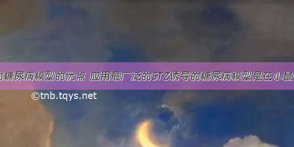 STZ诱导的糖尿病模型的优点 应用最广泛的STZ诱导的糖尿病模型是在小鼠中 诱导的