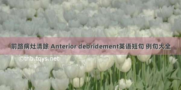 前路病灶清除 Anterior debridement英语短句 例句大全