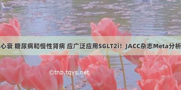 心衰 糖尿病和慢性肾病 应广泛应用SGLT2i！JACC杂志Meta分析