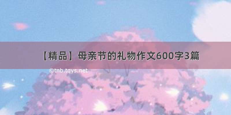 【精品】母亲节的礼物作文600字3篇