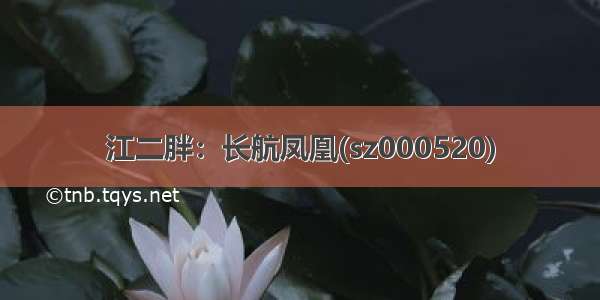 江二胖：长航凤凰(sz000520)