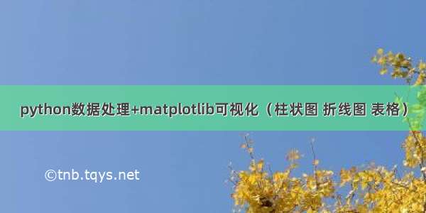 python数据处理+matplotlib可视化（柱状图 折线图 表格）