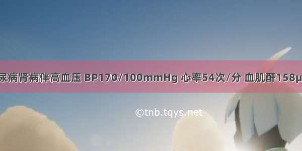 女 50岁。糖尿病肾病伴高血压 BP170/100mmHg 心率54次/分 血肌酐158μmol/L。最适