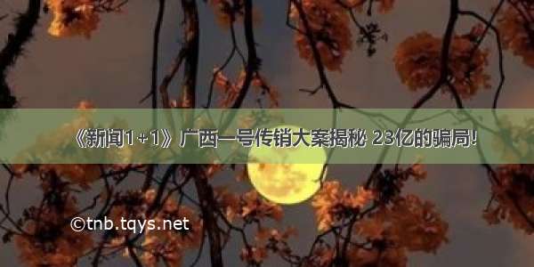 《新闻1+1》广西一号传销大案揭秘 23亿的骗局!