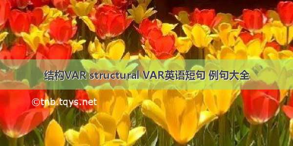 结构VAR structural VAR英语短句 例句大全